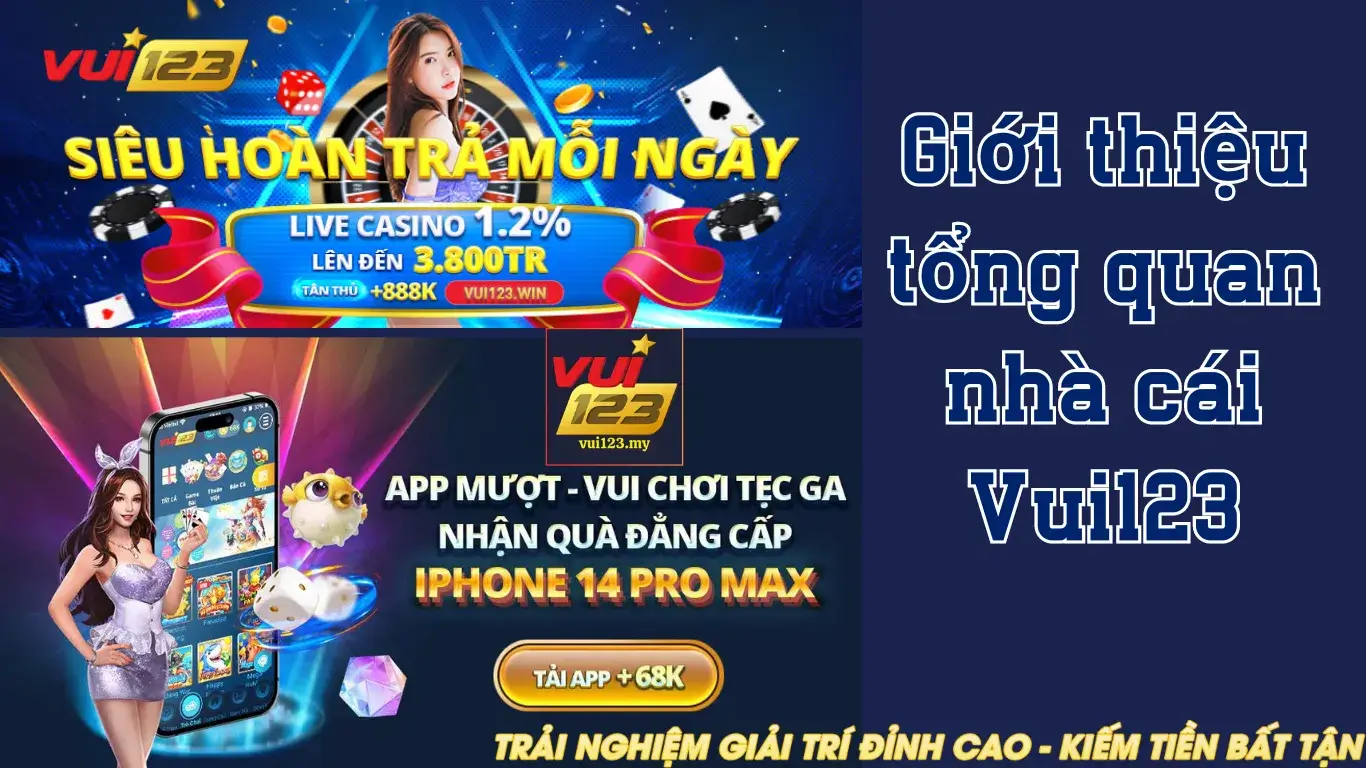 Người dùng cần chú ý điều gì khi đăng nhập vào King88? - King88