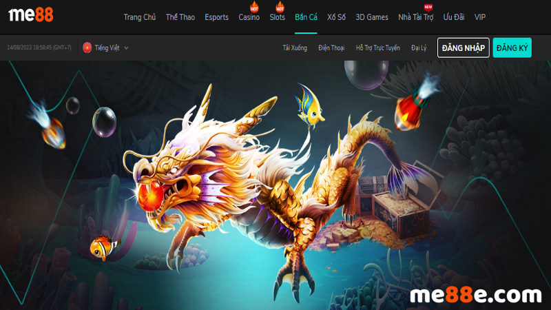 Melbet, trang web trò chơi câu cá này, cung cấp nhiều chương trình khuyến mãi hấp dẫn - Melbet