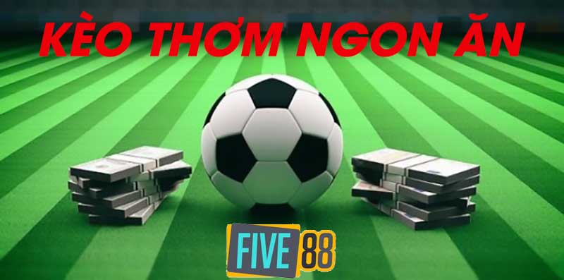 Khuyến mãi Me88: Trúng tổ hợp 5 số và nhận lại 50% tiền thưởng - Me88
