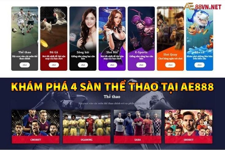 Trang web game đá gà cấp độ Sodo, chất lượng hàng đầu - Sodo
