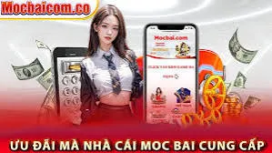 Hướng dẫn cách bắt đầu cá cược các giải đấu Bongdalu năm 2026 (Hướng dẫn đầy đủ và cập nhật) - Bongdalu
