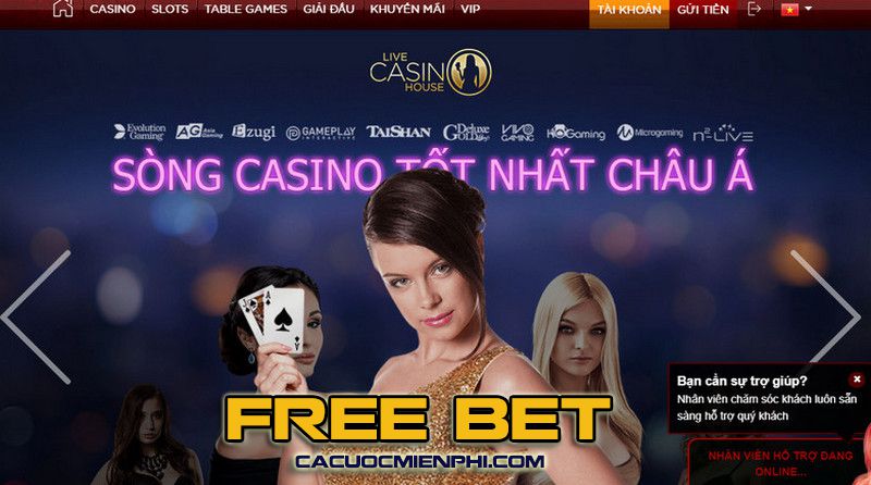 Lý do nên chọn Shbet làm nền tảng cá cược của bạn - Shbet