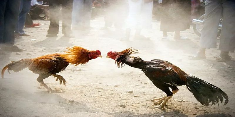 Fm88 có điều gì đó độc đáo thu hút mọi người - Fm88