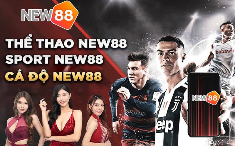 Hướng dẫn cài đặt ứng dụng Cr88 trên điện thoại - Cr88